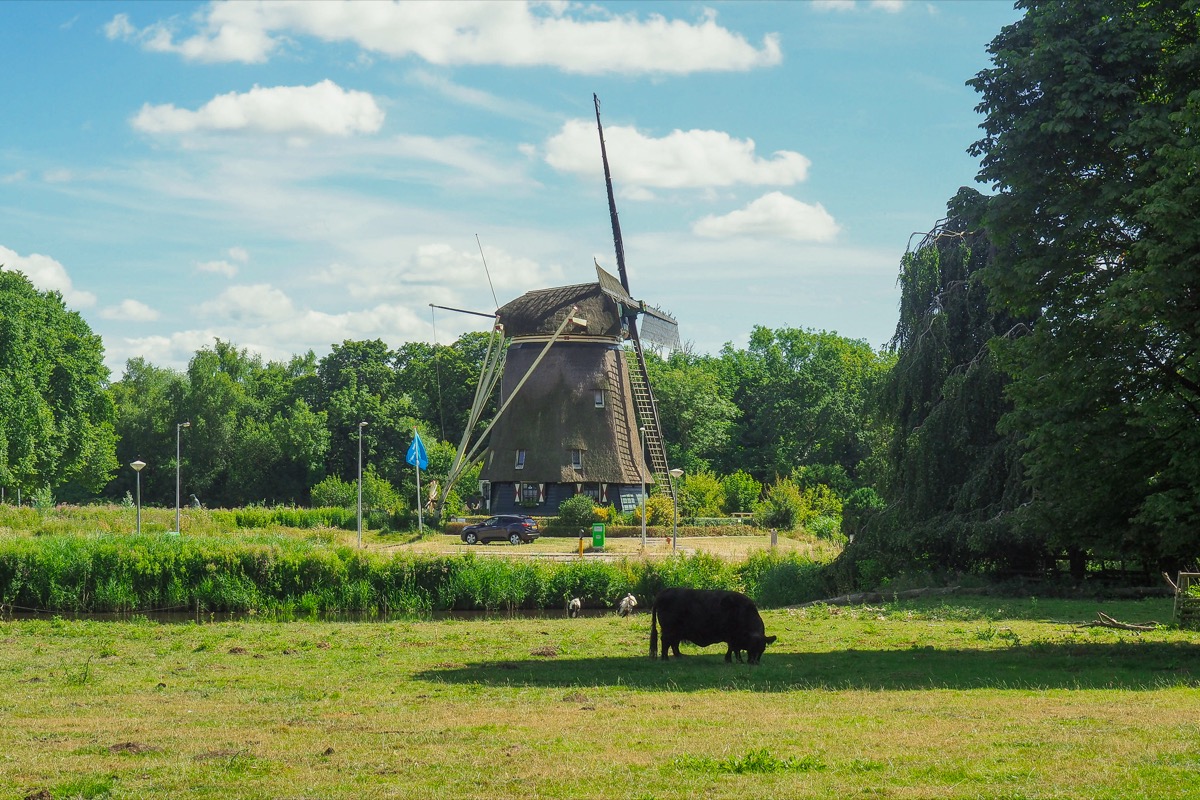 Hidden Gems & Local Life